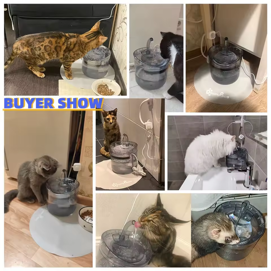 Fontaine à Eau pour Animaux - Hydratation Saine et Continue