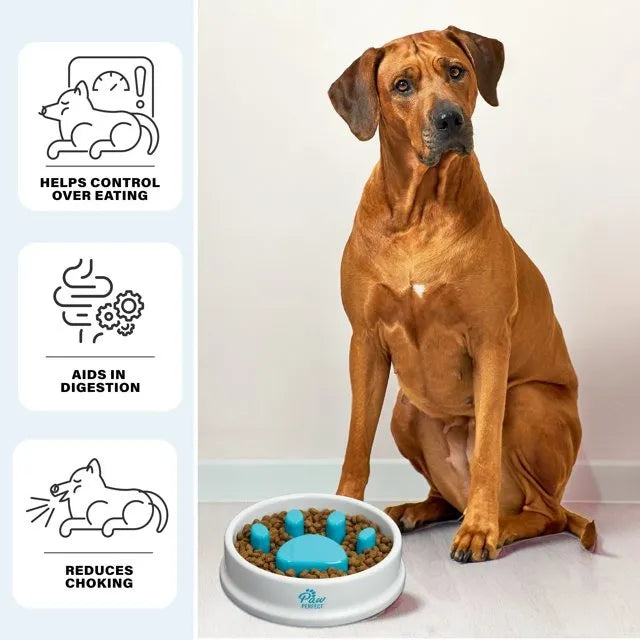 Bol Ralentisseur en Forme de Patte – Chiens & Chats - My Store
