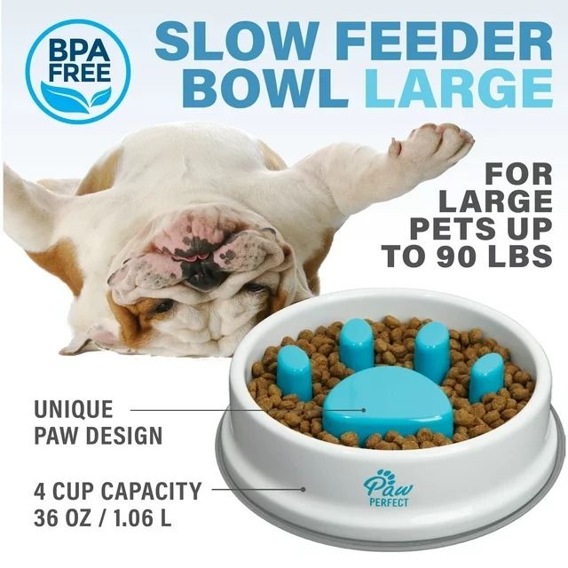 Bol Ralentisseur en Forme de Patte – Chiens & Chats - My Store