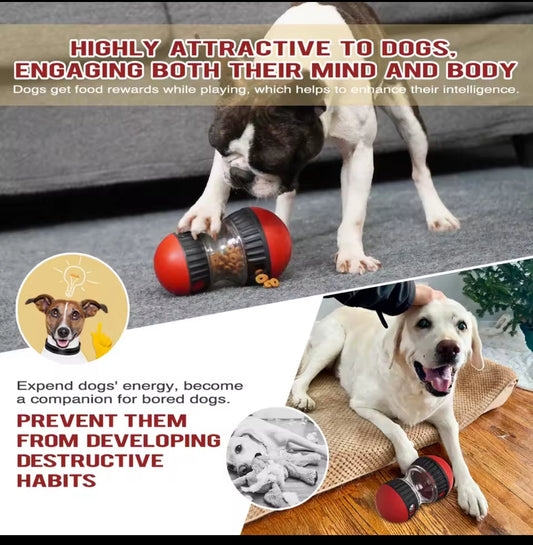 Jouet Distributeur de Croquettes pour Chien – Anti-Stress, Intelligent & Réglable - My Store