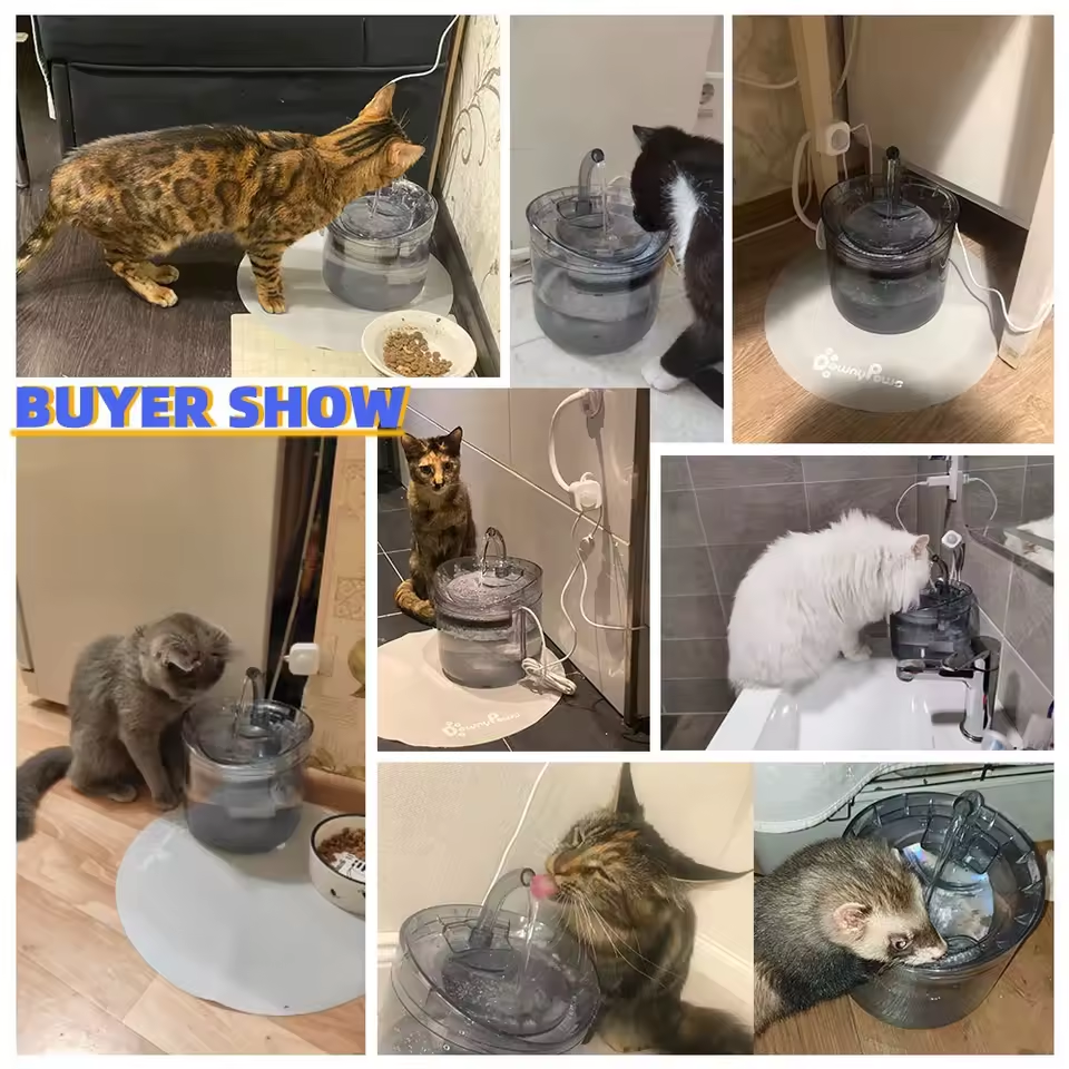 Fontaine à Eau pour Animaux - Hydratation Saine et Continue